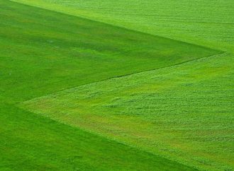 Minimum pracy, maksimum relaksu